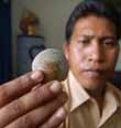 Kerang Berlafal Allah Bikin Heboh Warga Pontianak